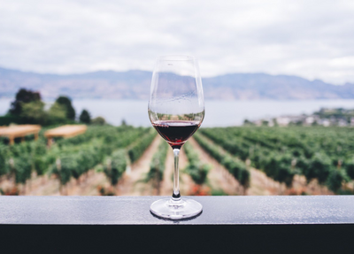 Virtuelle Weinberge: Weinprobe im Jahr 2020